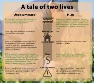 H2A vs Undocumented