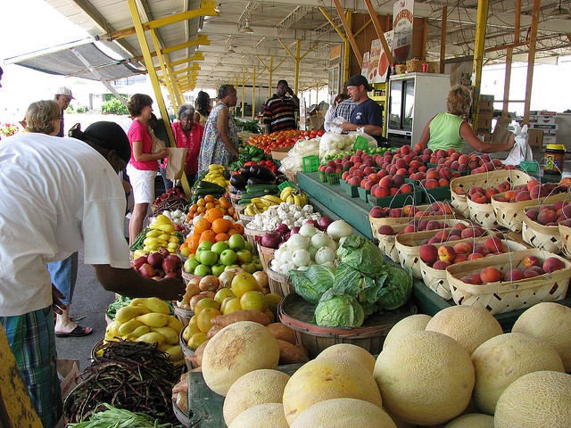 USDA grant will increase access to farmers markets for food stamp recipients