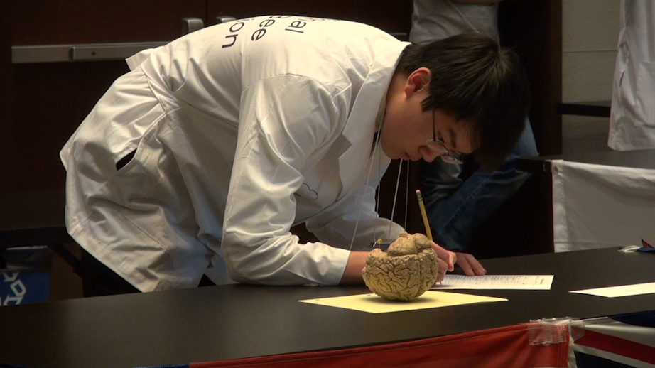 High schoolers break mental sweats at the Brain Bee