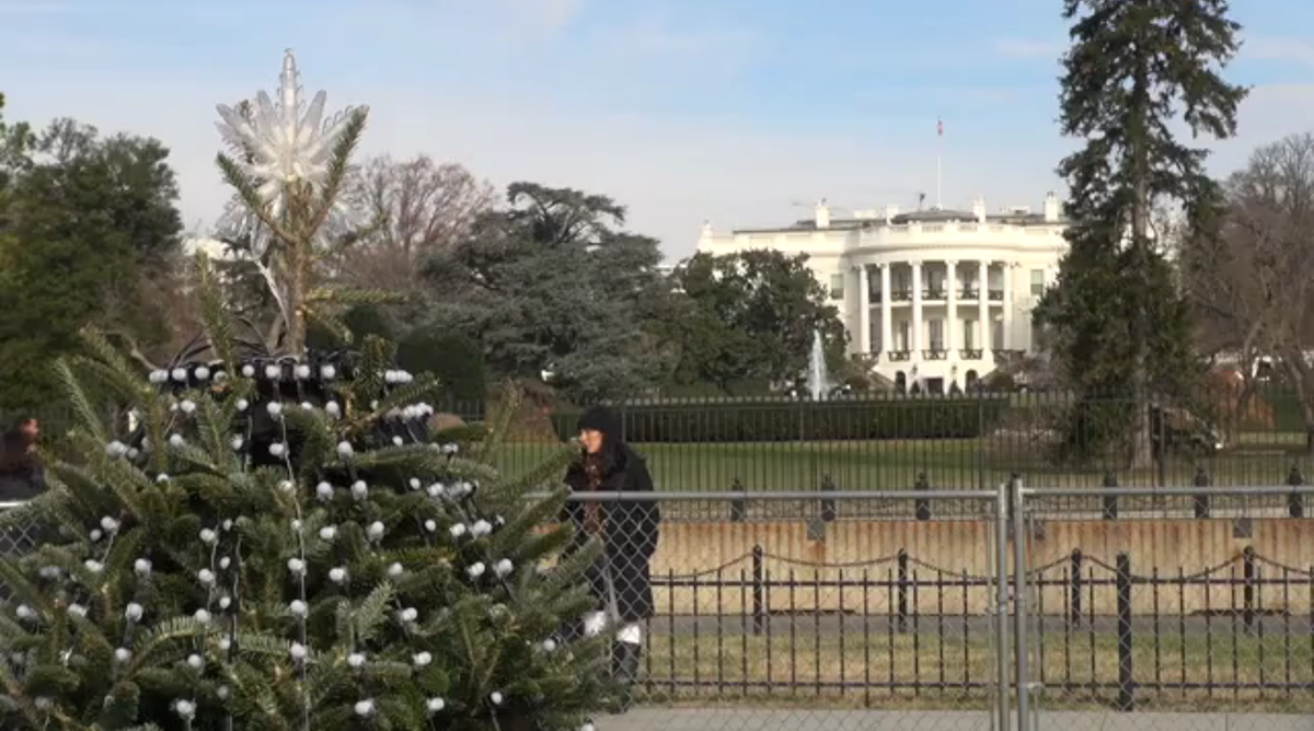 National Christmas Tree an example of energy efficiency