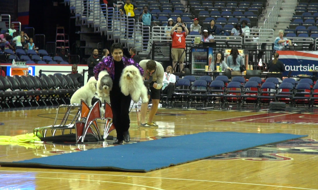 Campers like the Mystics, love the half-time dog show