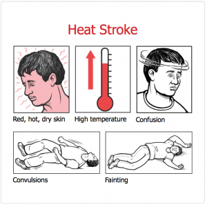 Do you have heat stroke? Symptoms may include irritated skin, high temperature, confusion, convulsions, or fainting. Courtesy of OSHA. 