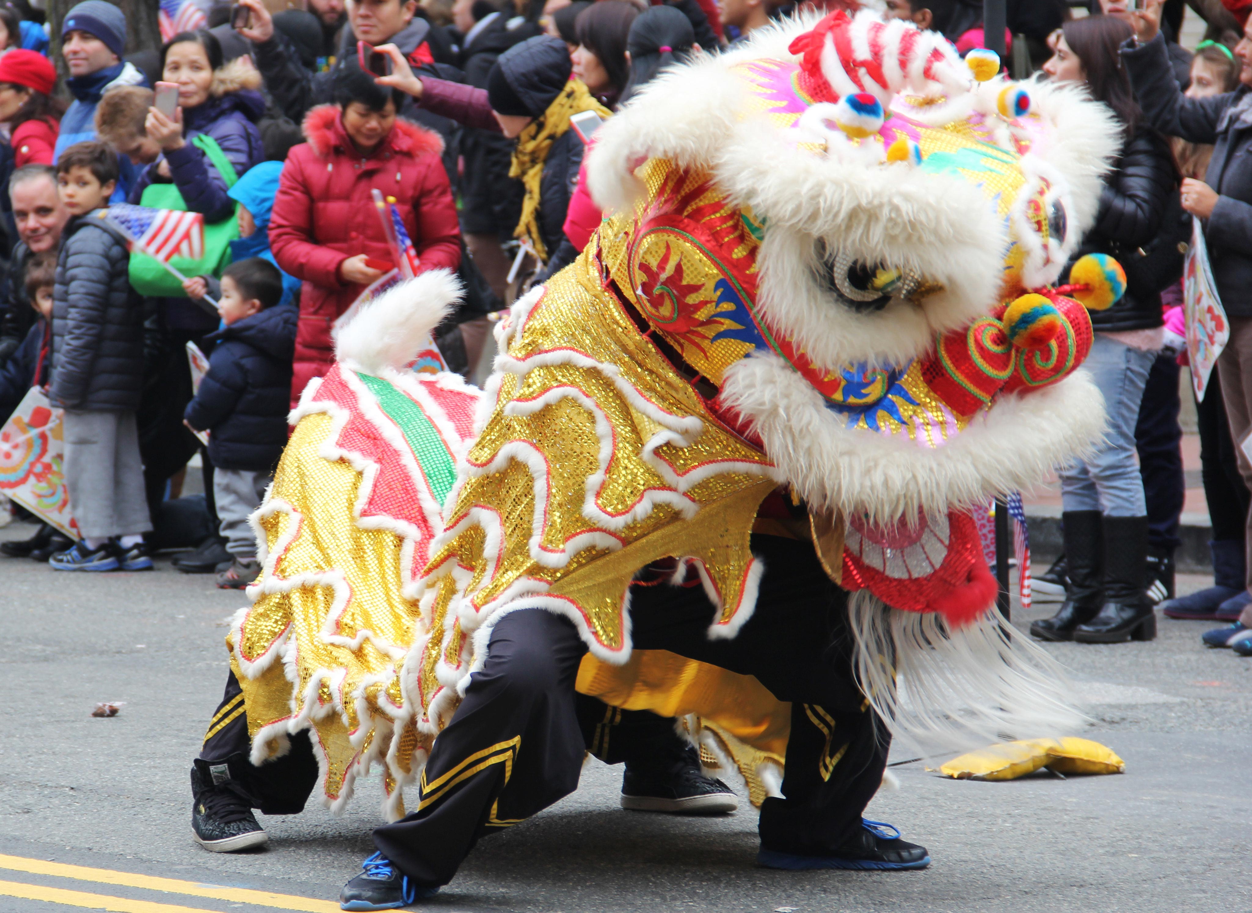 Chinese New Year Parade: Celebration for all - Medill News Service