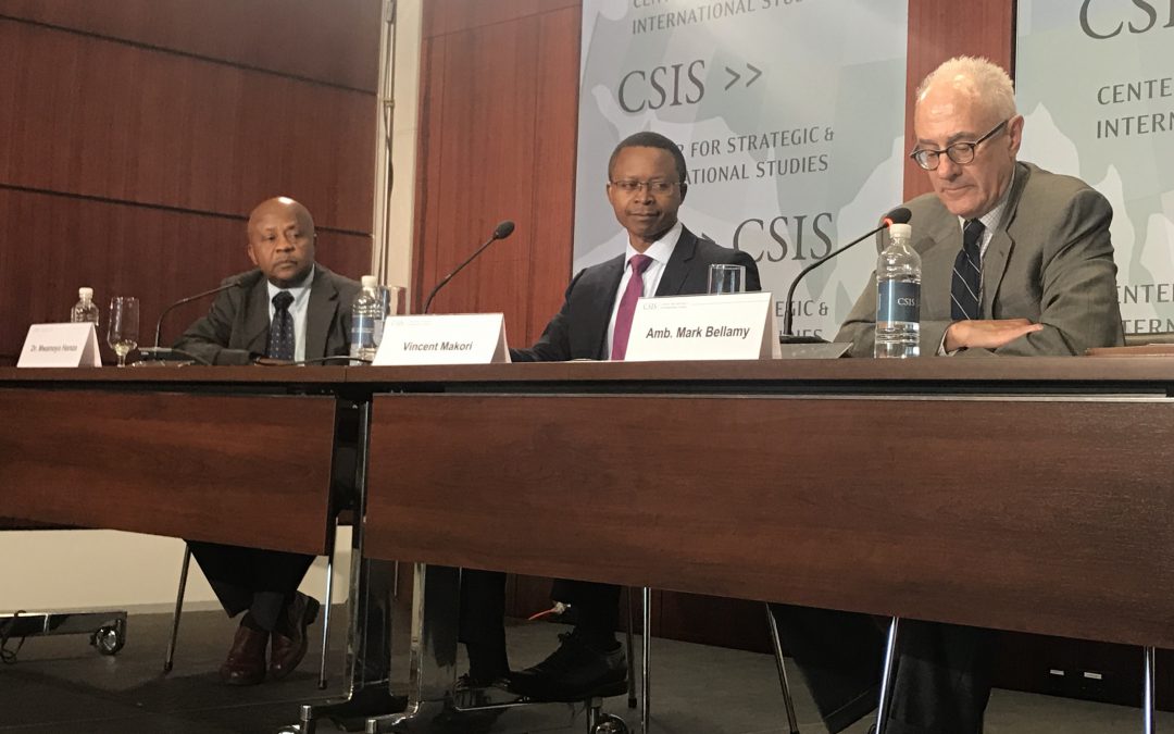 Kenya election a show of strength by voters, specialists say