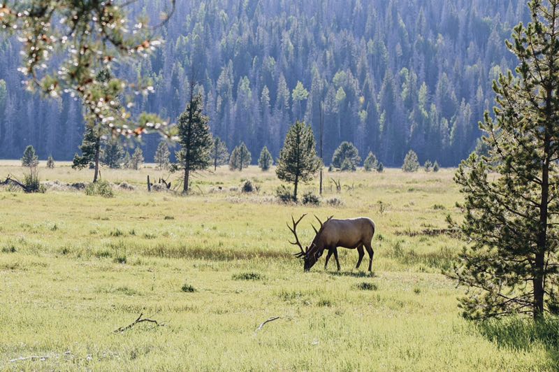 Zinke makes recommendations to Trump on nat’l monuments, but withholds details