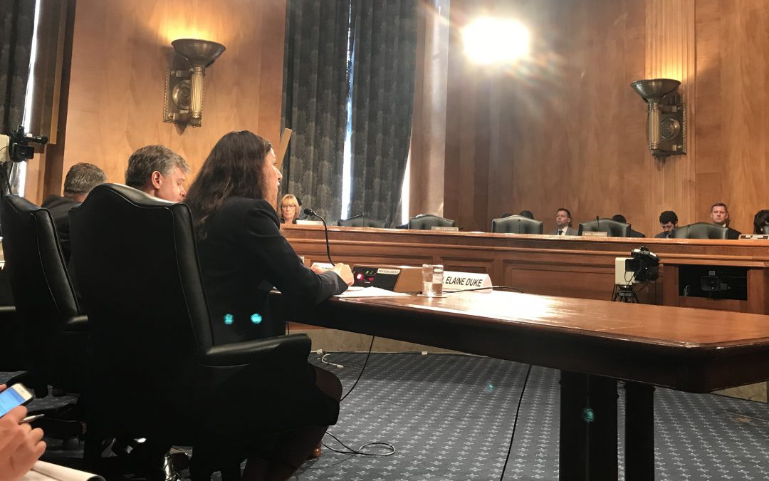 Senate homeland security hearing sees shift from foreign to domestic terrorism