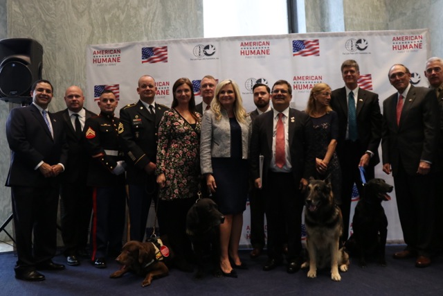 Five military dogs receive Medal of Courage