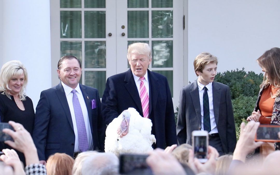 Trump exercises executive privilege, pardons two — turkeys