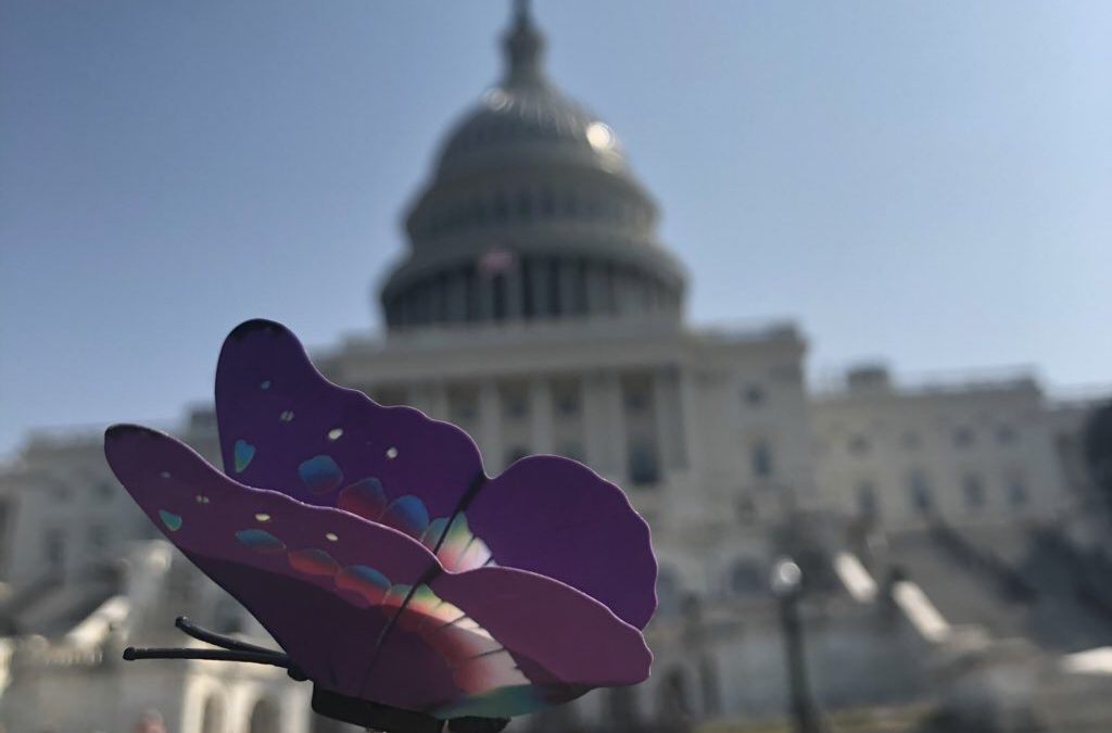 Rallying at the Capitol, advocates demand Congress pass domestic violence measures