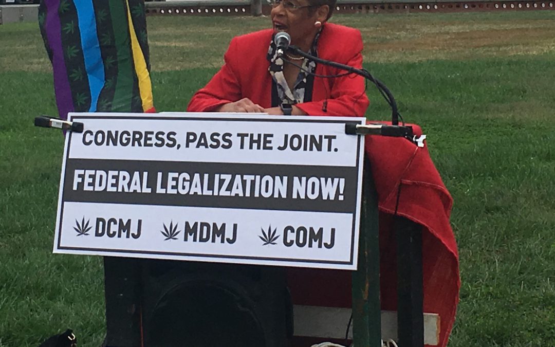 Marijuana Activists and Holmes Norton push for legalization of marijuana in D.C.