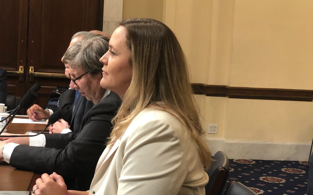 Experts urge lawmakers to put resources into election security