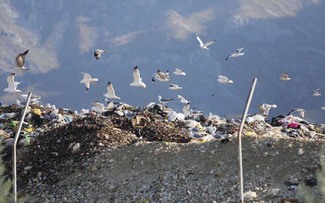 25 years after war, a Bosnian city fights for democracy