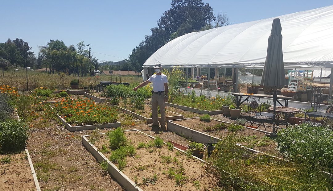 San Diego County Farmers See Big Drop In Flower Sales