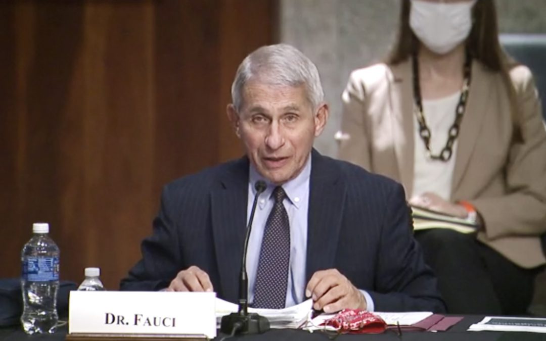 Fauci warns that U.S. could see 100,000 new COVID-19 cases per day