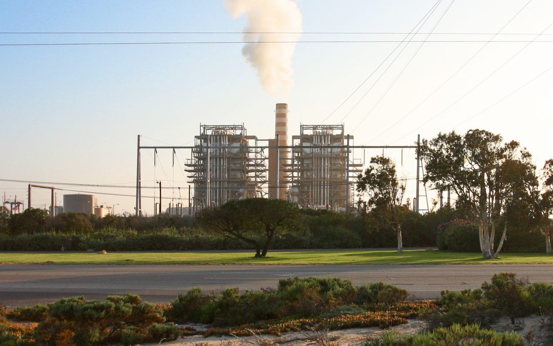 Bipartisan group of lawmakers see carbon capture as answer to climate change