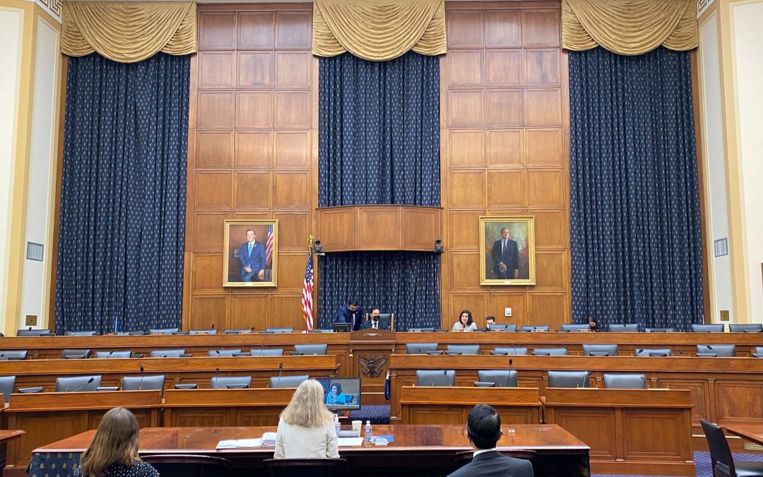 Lawmakers stress importance of U.S. leadership in upcoming international elections