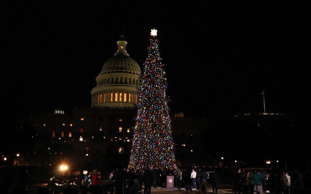 Pelosi and Bipartisan California Delegation Light Capitol Christmas Tree