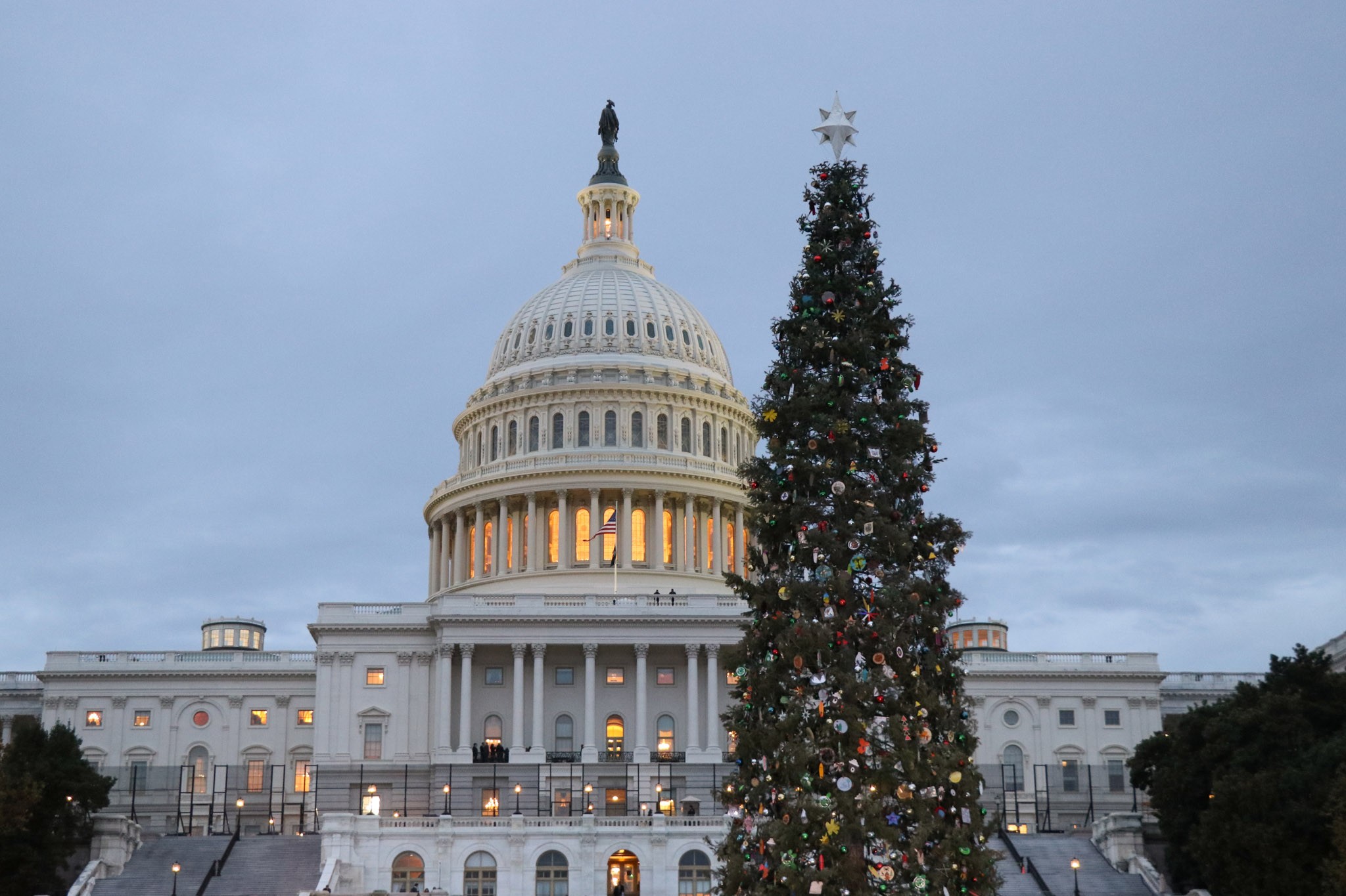 Pelosi And Bipartisan California Delegation Light Capitol Christmas Tree