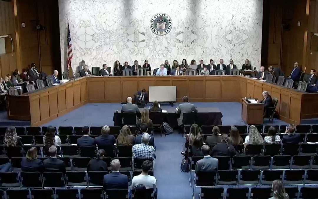 Experts warn China will interfere in 2024 US elections