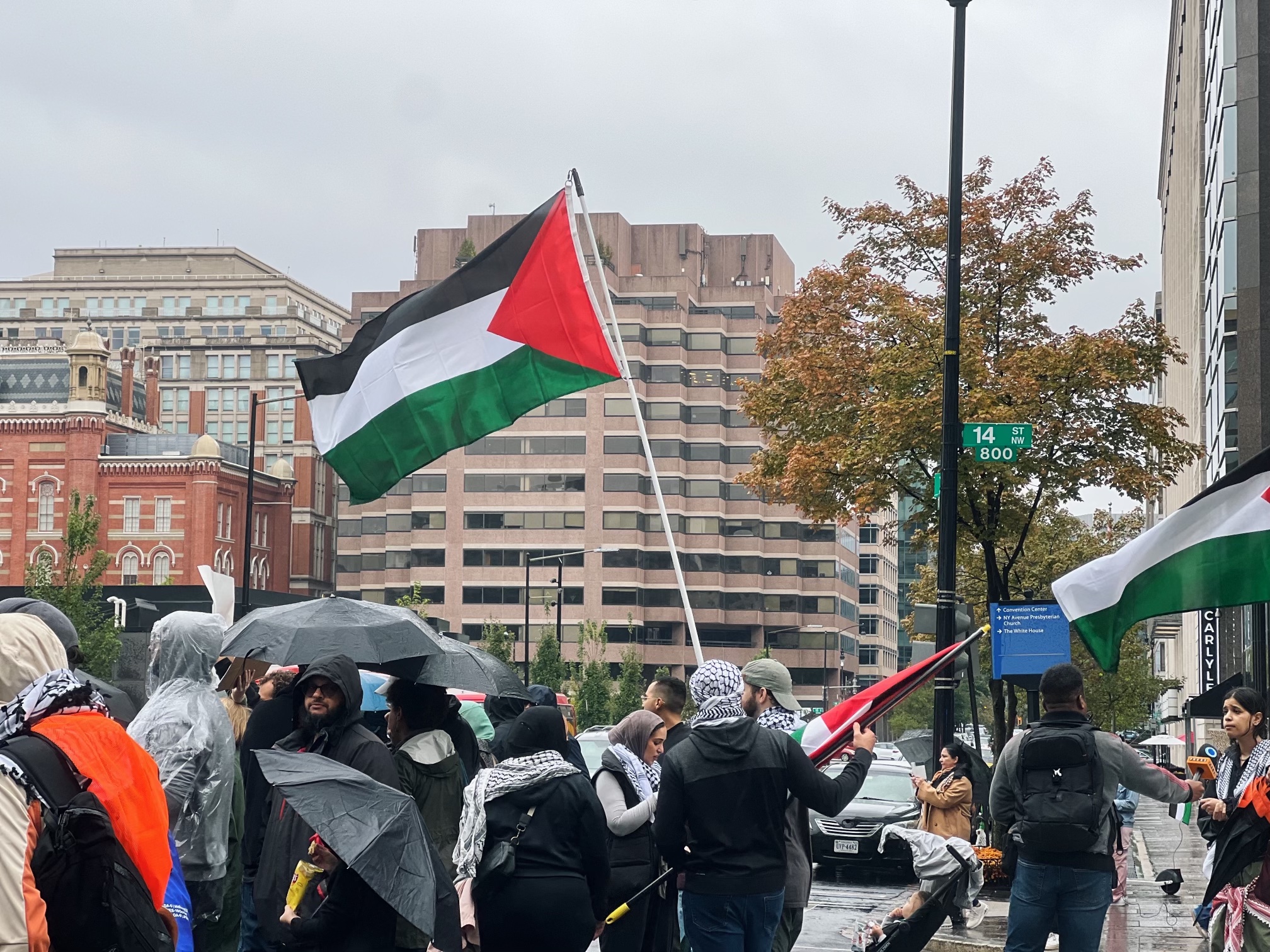 Thousands gather in Washington to show solidarity for Palestinians ...